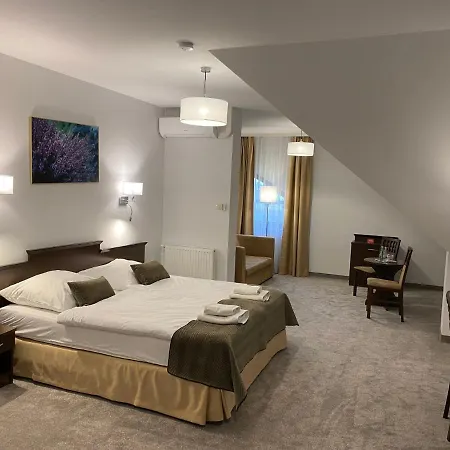 Hotel Tadeusz 3*